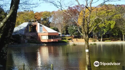 洞峰公園