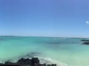 El Garrapatero