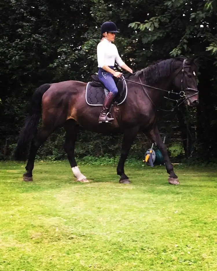 Hotels in Norton Green