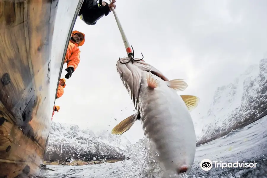 XXLofoten