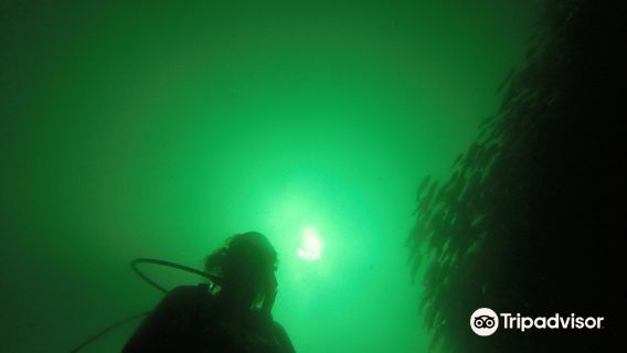 Sirenas Diving Costa Rica