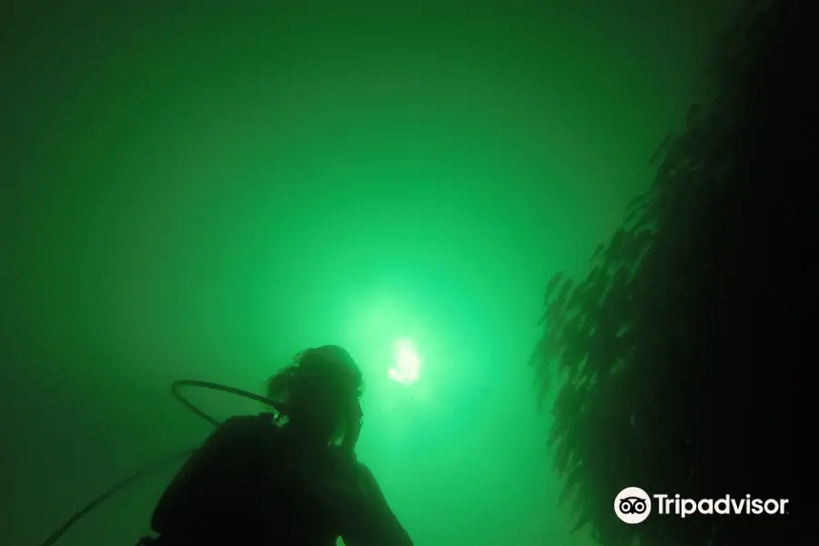 Sirenas Diving Costa Rica