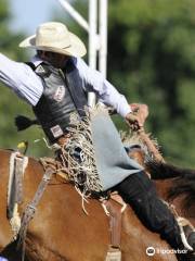 Medicine Hat Exhibition & Stampede