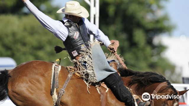 Medicine Hat Exhibition & Stampede