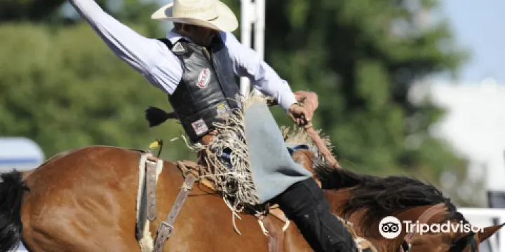 Medicine Hat Exhibition & Stampede