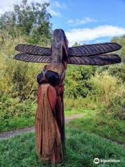 Flatts Lane Country Park