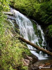 Kings Creek Falls