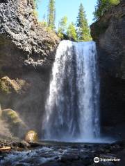 Discover Wells Gray