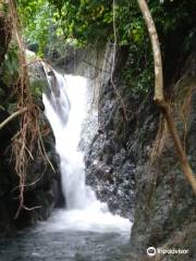 น้ำตกวังลุง Wanglung Waterfall