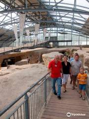 Roman Mine at Meurin