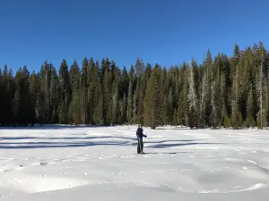 Баджер Пасс Ски Арея