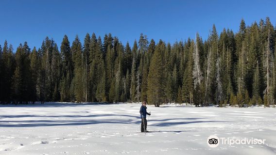 Badger Pass Ski Area