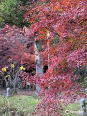 Asahiyama Jonichi Temple