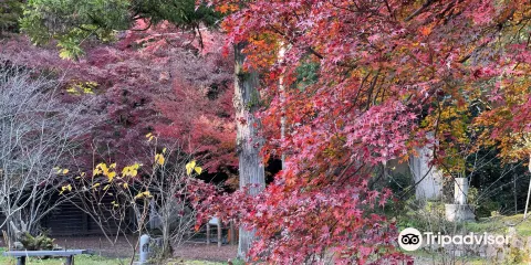 朝日山 上日寺