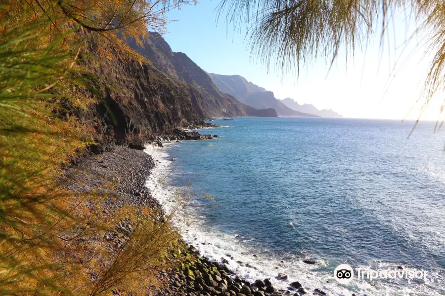 Barranco De Guayedra