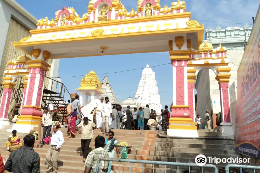 Sri Padmavathi Ammavaari Temple