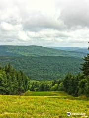 Cheat Mountain Stables