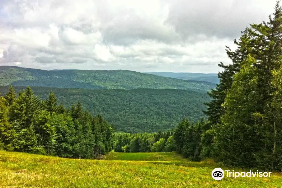 Cheat Mountain Stables