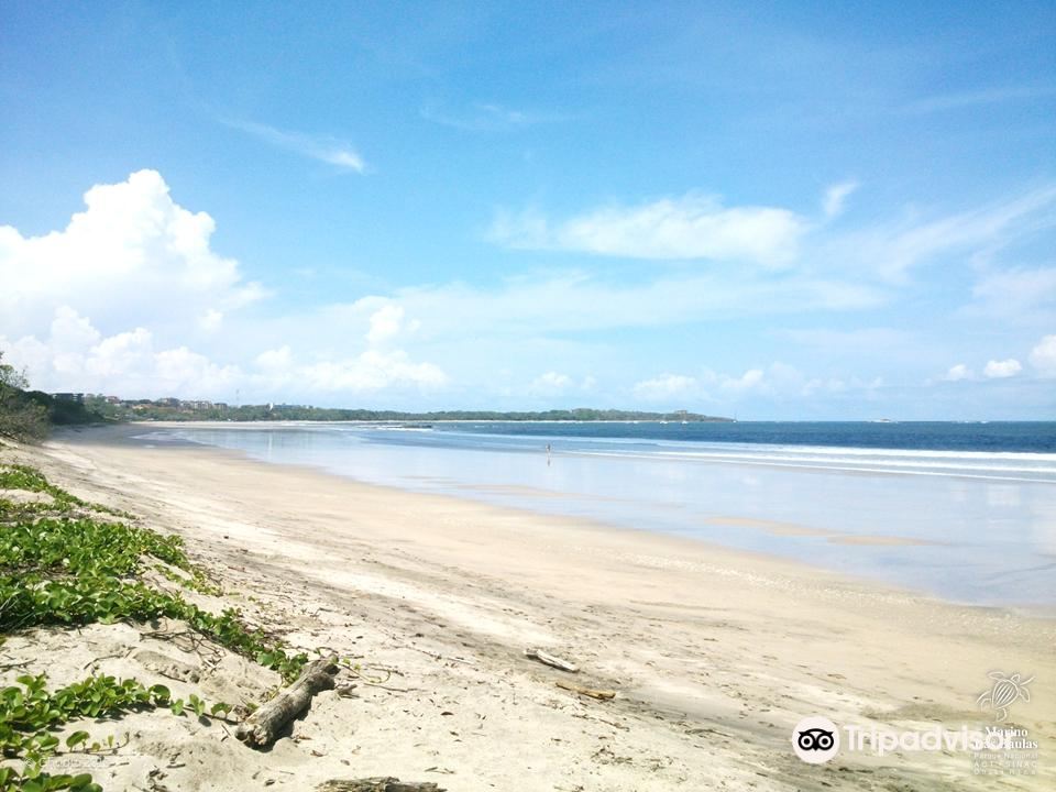 Las Baulas National Marine Park