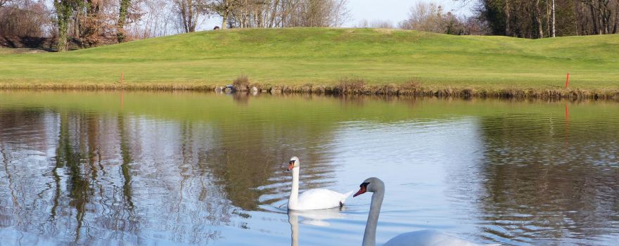 Le Golf du Kempferhof