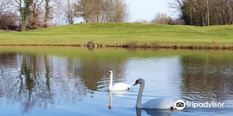 Le Golf du Kempferhof