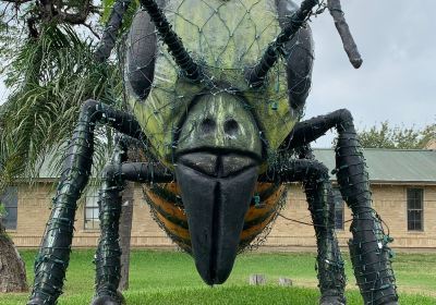 World's Largest Killer Bee
