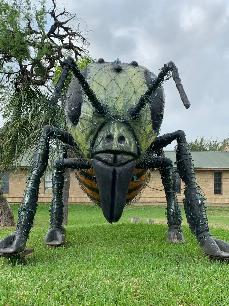 Hotels in Hidalgo