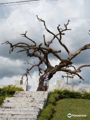 Tree of the Hanged