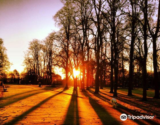 蒂斯河畔斯托克頓 自由行套票