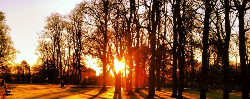 Ropner Park