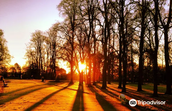 蒂斯河畔斯託克頓