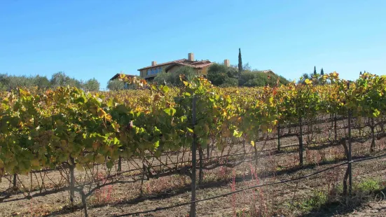 Clos Pepe Vineyards