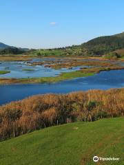 Urdaibai Bird Center