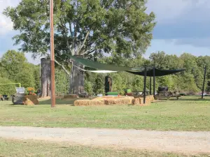 Wise Acres Organic Farm