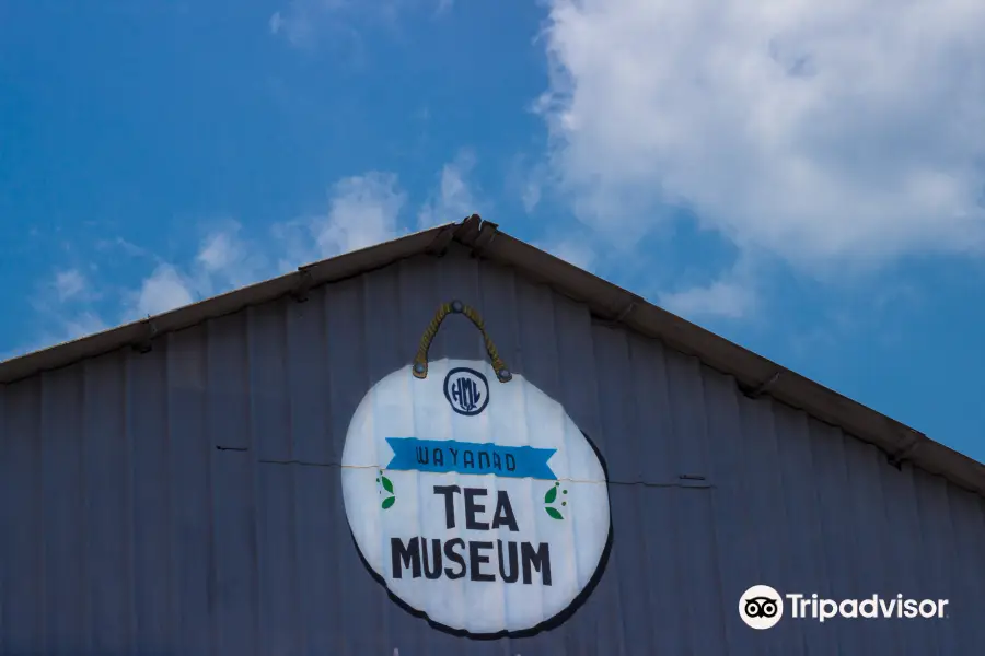 Wayanad Tea Museum