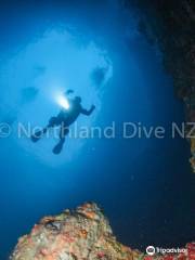 Northland Dive