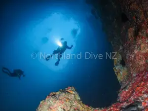 Northland Dive