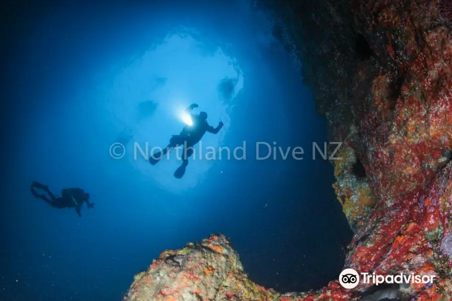 Northland Dive