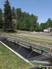 D.C. Booth Historic National Fish Hatchery