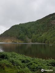 Llyn Geirionydd