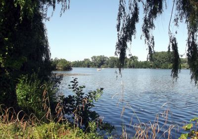 Lac d'Ardres