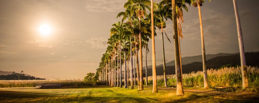 Hacienda Santa Teresa