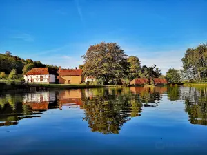 Weald & Downland Living Museum