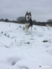 Southwick Country Park