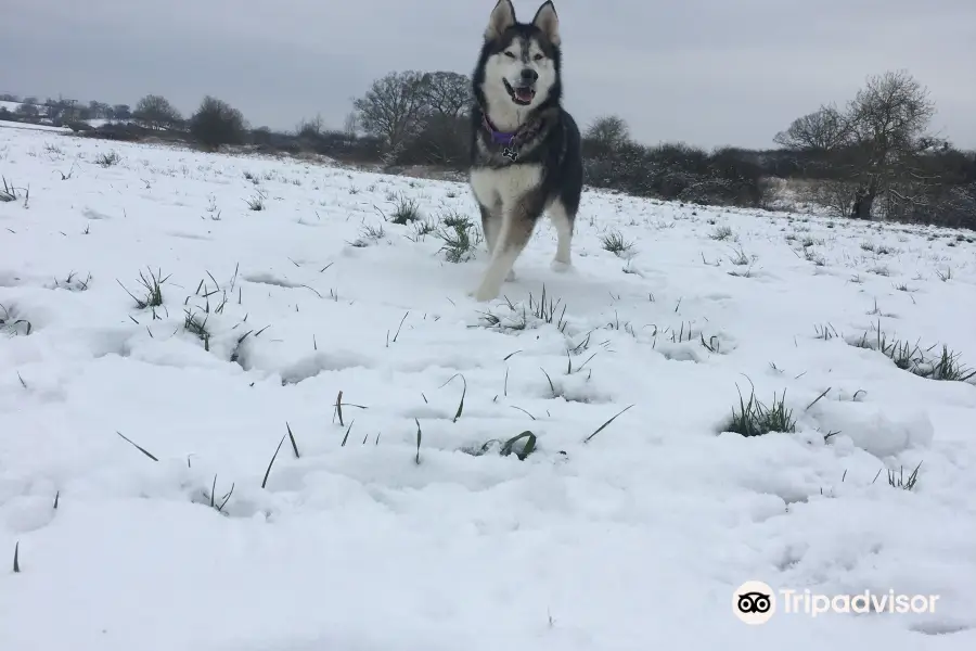 サウスウィック・カントリー・パーク