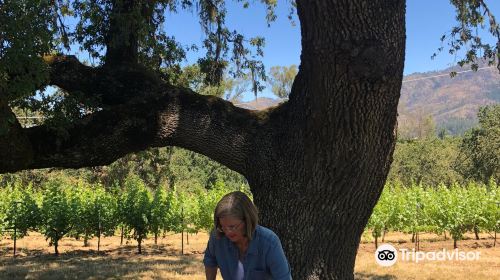 MacLeod Family Vineyard