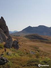 Naturocio Valle de Arbás S.L.U.