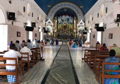 Basilique Notre-Dame-des-Neiges de Tuticorin