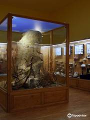 Regional Natural History Museum of Plovdiv