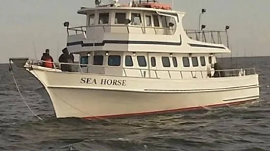 Sea Horse Party Fishing Boat